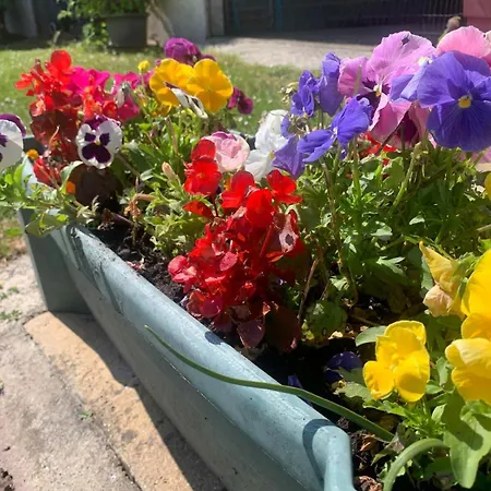 Le Fleur Des Champs-st Valery & Le Crotoy A 10min