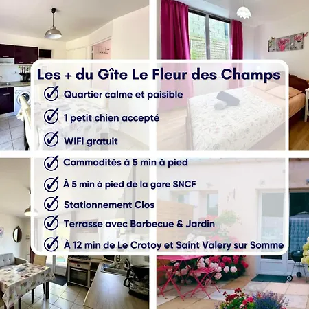 Petit Cocon - Appart' Proche St-valery & Le Crotoy نو-سور-مير